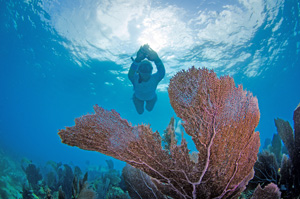 REEF Fest includes snorkeling, diving and eco-adventures on the water at America's best fish-filled coral reefs with some of the most prestigious names in marine conservation. Image: Janice Carter/Scuba Diver Girls